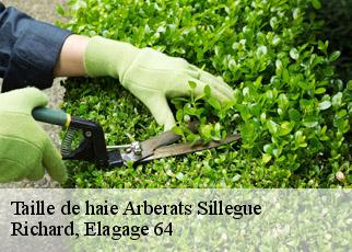 Taille de haie  arberats-sillegue-64120 Richard, Elagage 64