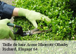 Taille de haie aroue-ithorrots-olhaiby-64120 Richard, Elagage 64