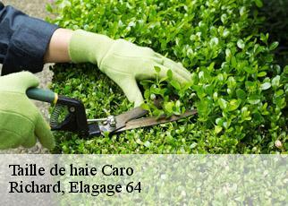 Taille de haie  caro-64220 Richard, Elagage 64