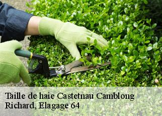 Taille de haie  castetnau-camblong-64190 Richard, Elagage 64
