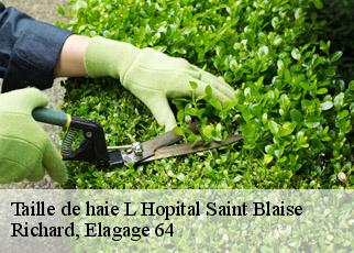Taille de haie  l-hopital-saint-blaise-64130 Richard, Elagage 64