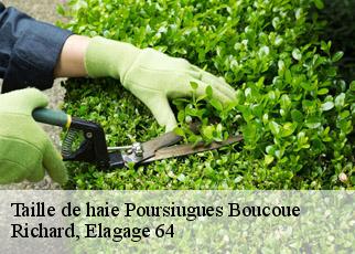 Taille de haie  poursiugues-boucoue-64410 Richard, Elagage 64