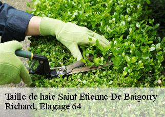 Taille de haie saint-etienne-de-baigorry-64430 Richard, Elagage 64