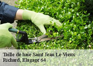 Taille de haie  saint-jean-le-vieux-64220 Richard, Elagage 64