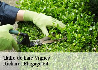 Taille de haie vignes-64410 Richard, Elagage 64