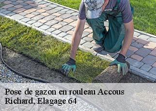 Pose de gazon en rouleau  accous-64490 Richard, Elagage 64