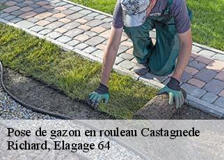 Pose de gazon en rouleau  castagnede-64270 Richard, Elagage 64