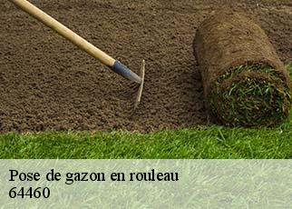Pose de gazon en rouleau 64460
