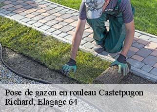 Pose de gazon en rouleau  castetpugon-64330 Richard, Elagage 64