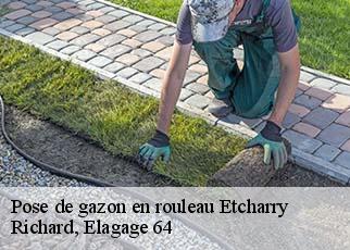 Pose de gazon en rouleau  etcharry-64120 Richard, Elagage 64