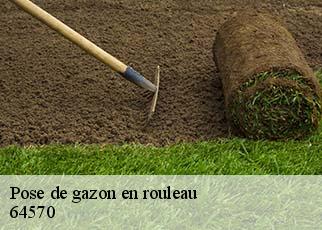 Pose de gazon en rouleau 64570