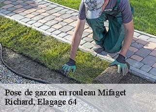 Pose de gazon en rouleau mifaget-64800 Richard, Elagage 64