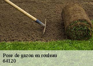 Pose de gazon en rouleau 64120