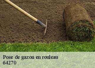 Pose de gazon en rouleau 64270