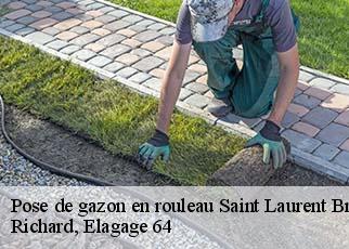 Pose de gazon en rouleau  saint-laurent-bretagne-64160 Richard, Elagage 64