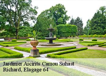 Jardinier  aicirits-camou-suhast-64120 Richard, Elagage 64