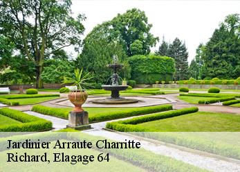 Jardinier arraute-charritte-64120 Richard, Elagage 64