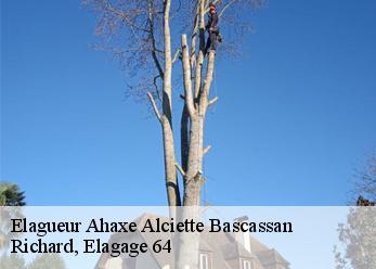 Elagueur  ahaxe-alciette-bascassan-64220 Richard, Elagage 64