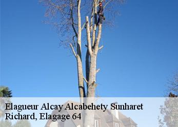 Elagueur  alcay-alcabehety-sunharet-64470 Richard, Elagage 64