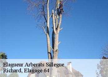 Elagueur  arberats-sillegue-64120 Richard, Elagage 64