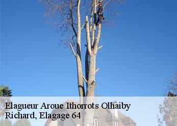 Elagueur  aroue-ithorrots-olhaiby-64120 Richard, Elagage 64