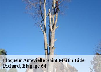 Elagueur  autevielle-saint-martin-bide-64390 Richard, Elagage 64