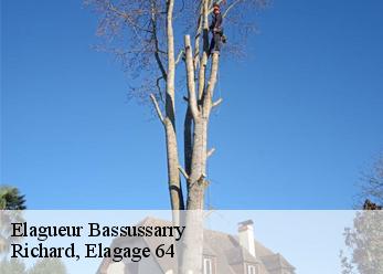 Elagueur  bassussarry-64200 Richard, Elagage 64