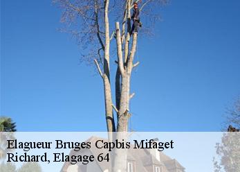 Elagueur bruges-capbis-mifaget-64800 Richard, Elagage 64