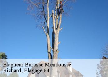 Elagueur burosse-mendousse-64330 Richard, Elagage 64