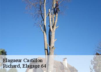 Elagueur castillon-64350 Richard, Elagage 64