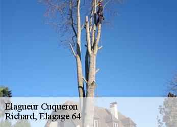 Elagueur  cuqueron-64360 Richard, Elagage 64