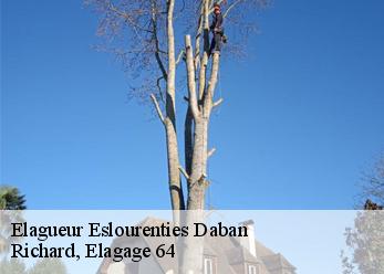 Elagueur  eslourenties-daban-64420 Richard, Elagage 64
