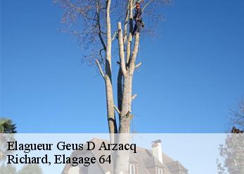 Elagueur  geus-d-arzacq-64370 Richard, Elagage 64