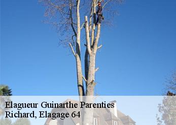 Elagueur  guinarthe-parenties-64390 Richard, Elagage 64