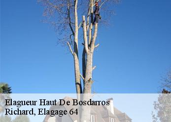 Elagueur  haut-de-bosdarros-64800 Richard, Elagage 64