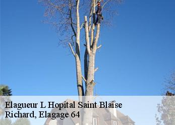 Elagueur  l-hopital-saint-blaise-64130 Richard, Elagage 64