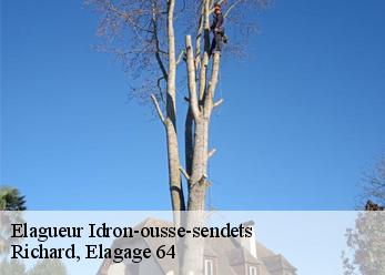 Elagueur idron-ousse-sendets-64320 Richard, Elagage 64