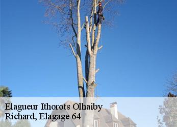 Elagueur  ithorots-olhaiby-64120 Richard, Elagage 64