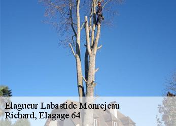 Elagueur labastide-monrejeau-64170 Richard, Elagage 64