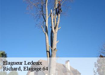 Elagueur  ledeuix-64400 Richard, Elagage 64