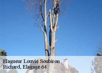 Elagueur  louvie-soubiron-64440 Richard, Elagage 64