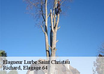 Elagueur  lurbe-saint-christau-64660 Richard, Elagage 64