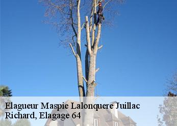 Elagueur  maspie-lalonquere-juillac-64350 Richard, Elagage 64