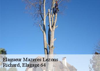 Elagueur  mazeres-lezons-64110 Richard, Elagage 64