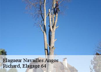 Elagueur  navailles-angos-64450 Richard, Elagage 64