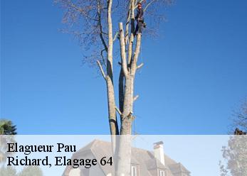 Elagueur pau-64000 Richard, Elagage 64
