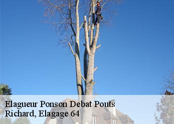 Elagueur  ponson-debat-pouts-64460 Richard, Elagage 64
