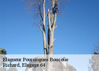 Elagueur  poursiugues-boucoue-64410 Richard, Elagage 64