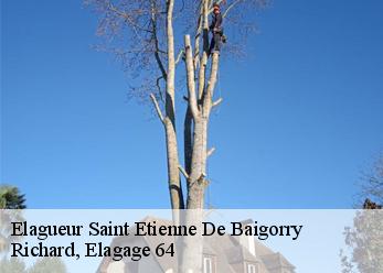 Elagueur saint-etienne-de-baigorry-64430 Richard, Elagage 64
