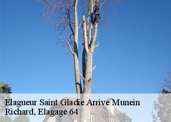 Elagueur saint-gladie-arrive-munein-64390 Richard, Elagage 64